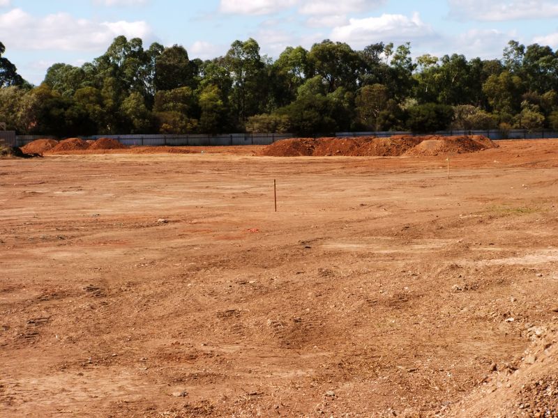 Fence Dirt Removal detail