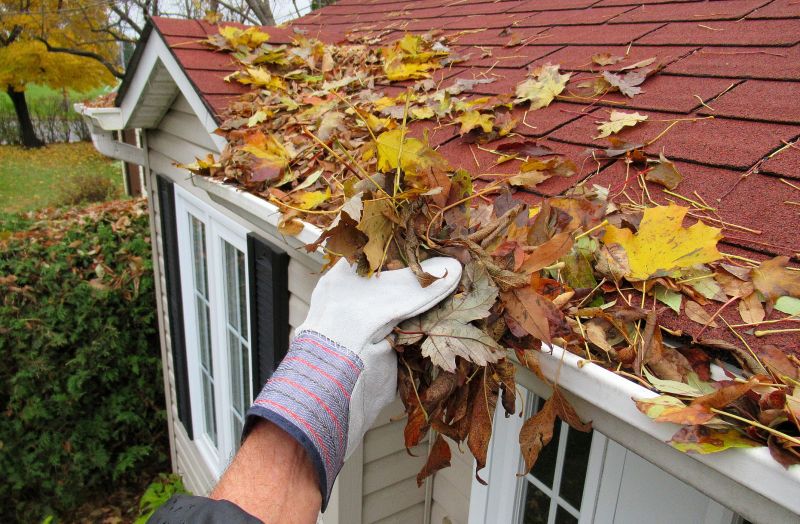 Gutter Leaves Removal in Boulder, CO