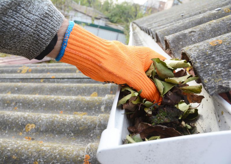 Gutter Cleaning in Fredericksburg, VA